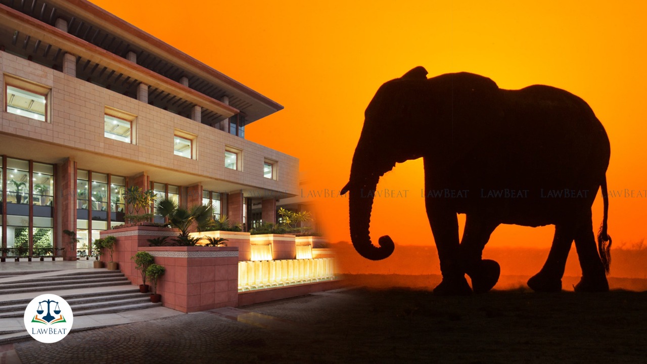 Delhi High Court defers hearing plea against irregularities in setting up Privately-Owned animal Rescue centres Delhi High Court defers hearing plea against irregularities in setting up Privately-Owned animal Rescue centres